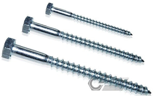bimex6319938