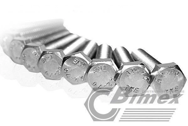 bimex6339238