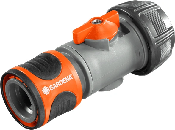 bimex6399368